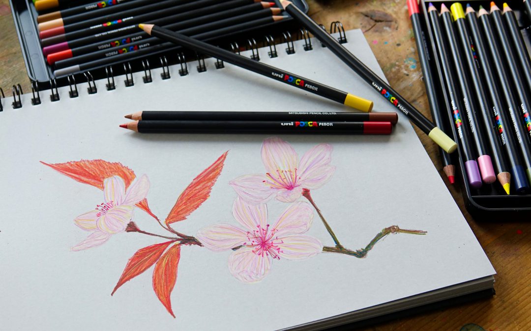 Add to your POSCA art journey with Pencils and Pastels