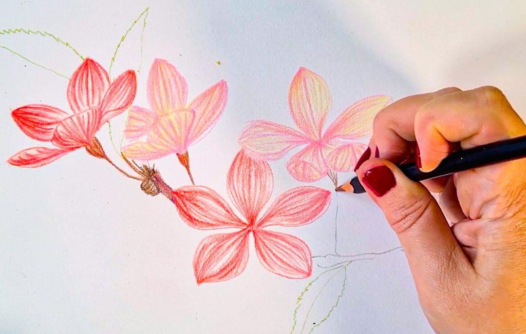 Create flowers with POSCA pencil