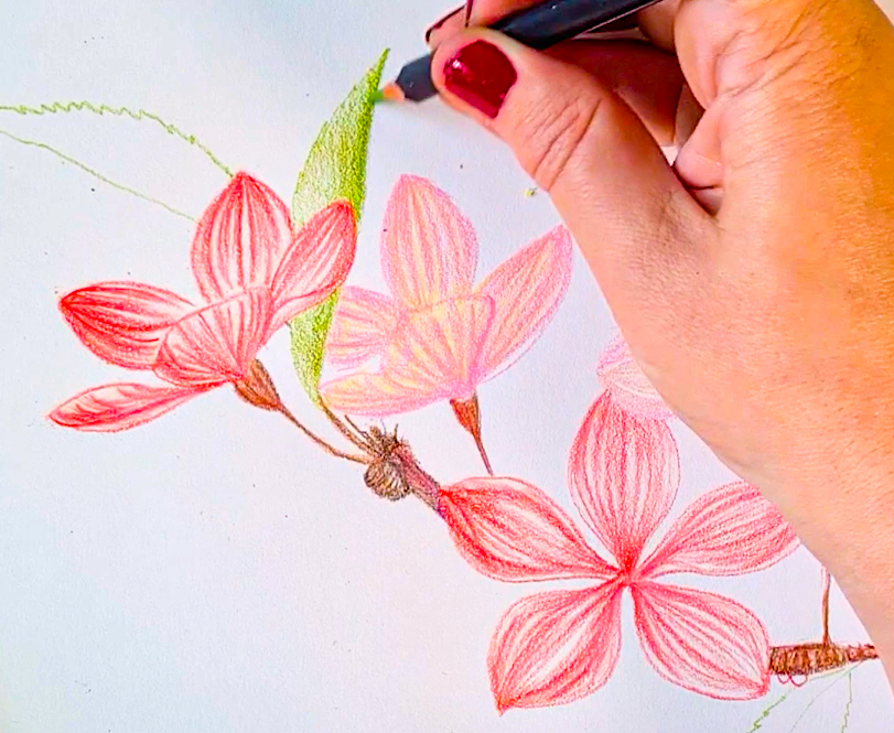 Create flowers with POSCA pencil