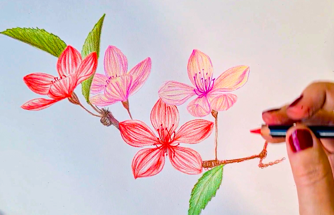 Draw delicate blossom with POSCA PENCILS - uni-ball