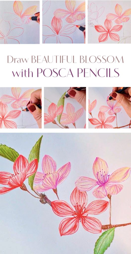 draw delicate blossom with POSCA PENCILS