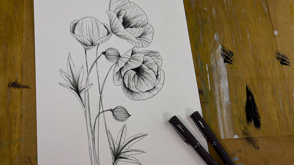 Poppy drawing with PIN Elegant tones