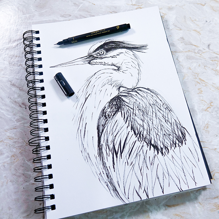 Heron brush drawing 