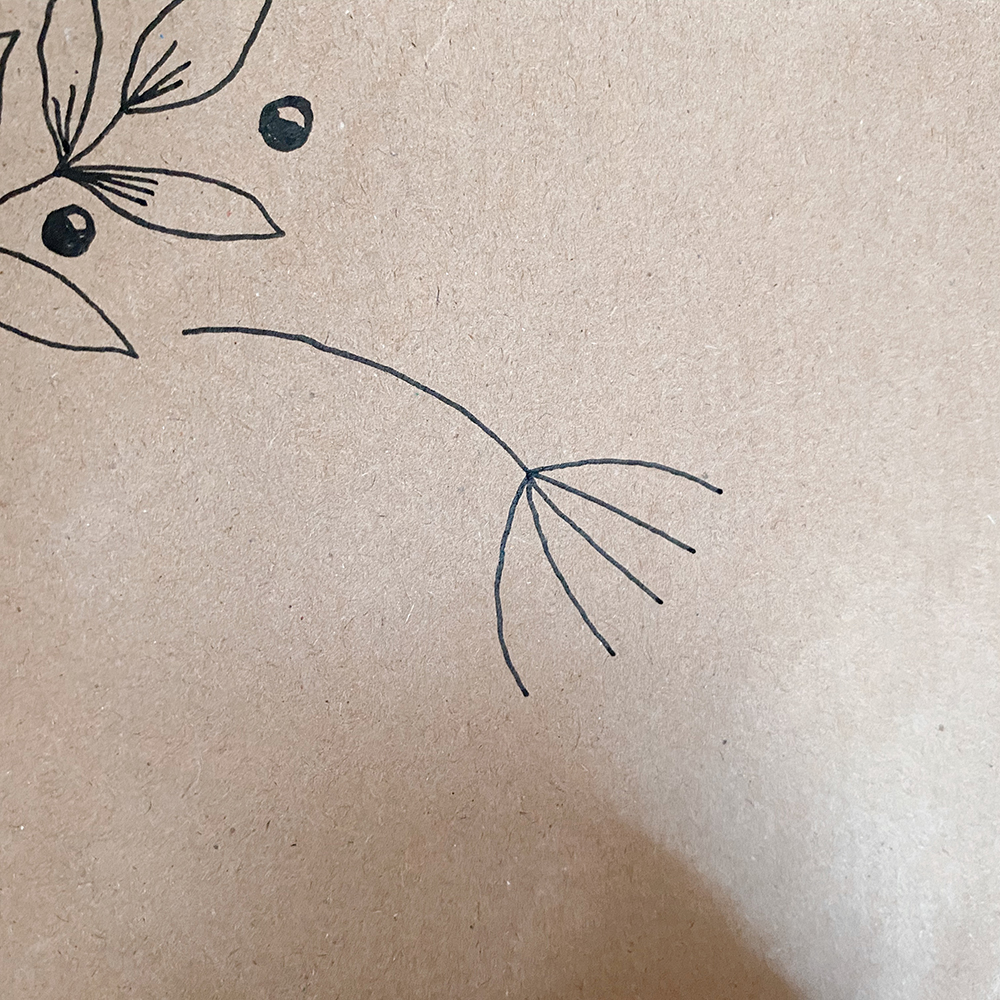 Draw a seed head with uni-PIN pens