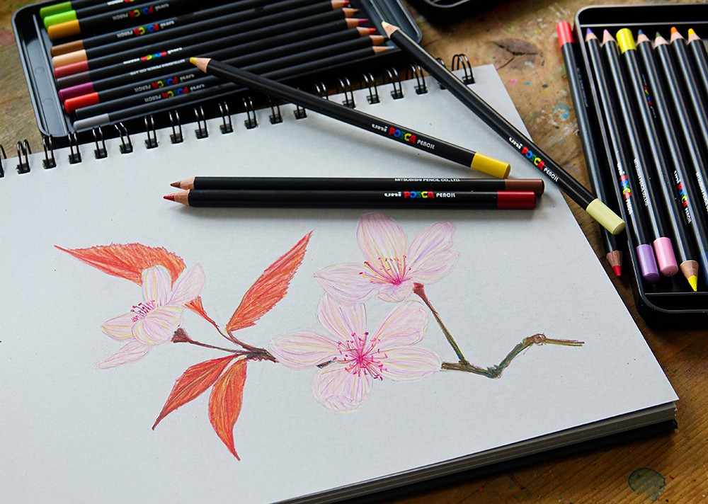 Draw pencil blossom