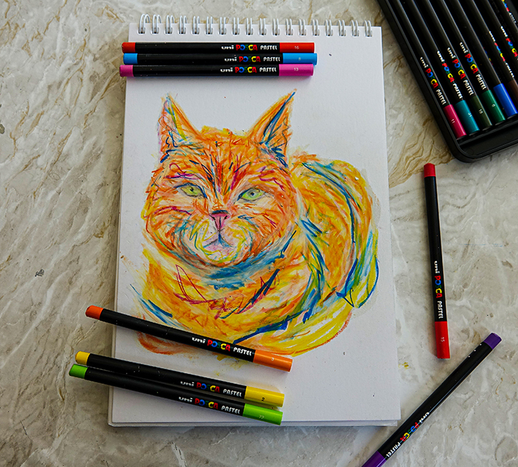 Pastel pet drawing
